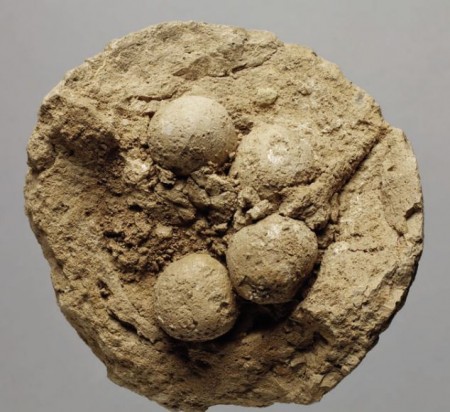 шар из глины