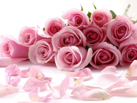 flowers_01