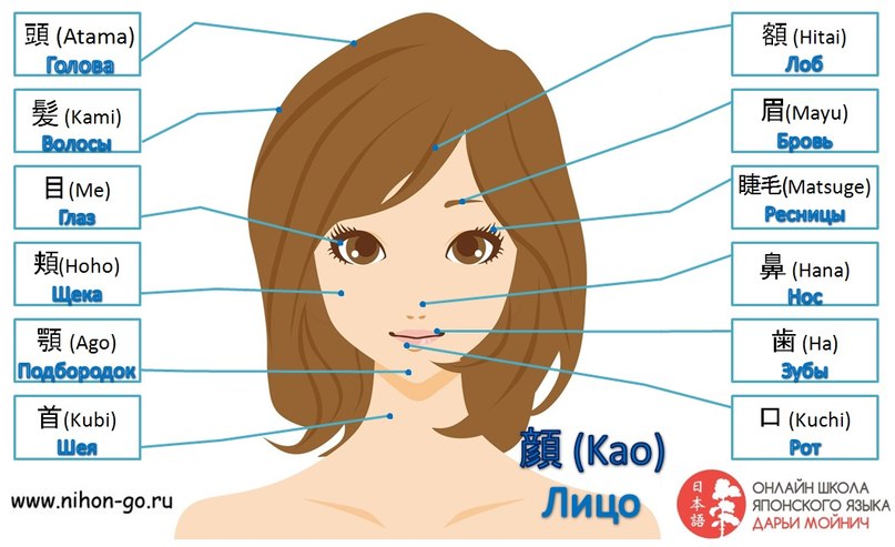 С чего и как начать учить японский язык самостоятельно С чего и как начать учить японский язык самостоятельно