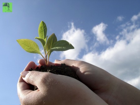 save planet earth
