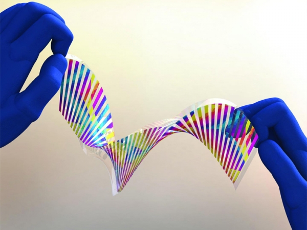 Flexible-Color-Changing-Fabric-Which-Mimics-Chameleon-Skin