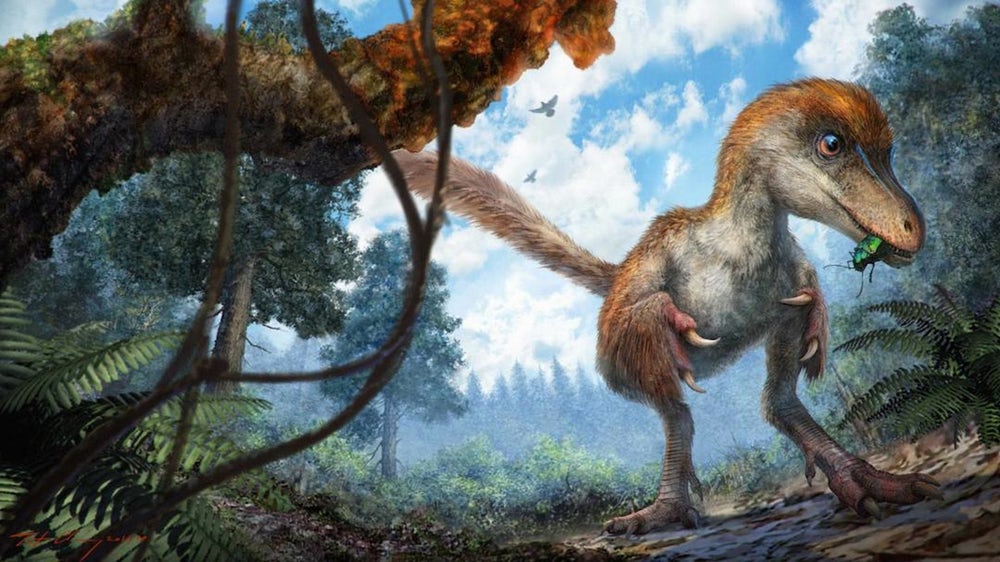 Британцы перекроили эволюционное древо динозавров