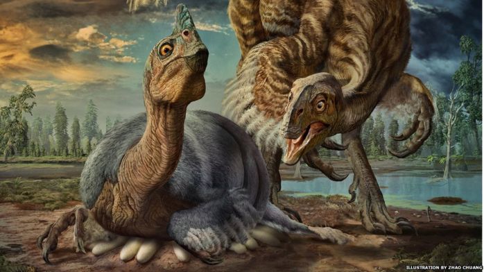 Новый вид большущих динозавров открыли ученые
